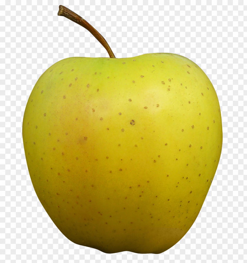 Golden Apple Gold Icon PNG