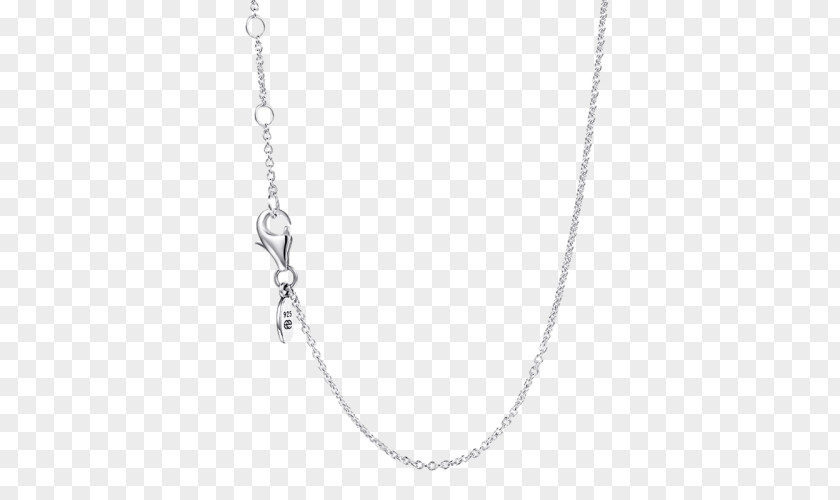 Lobster Clasp Locket Necklace Pandora Chain Jewellery PNG