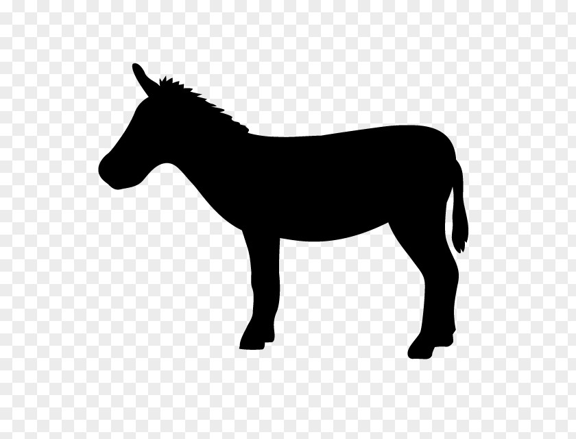 Mare Silhouette Horse Animal Figure Mane Burro Pony PNG