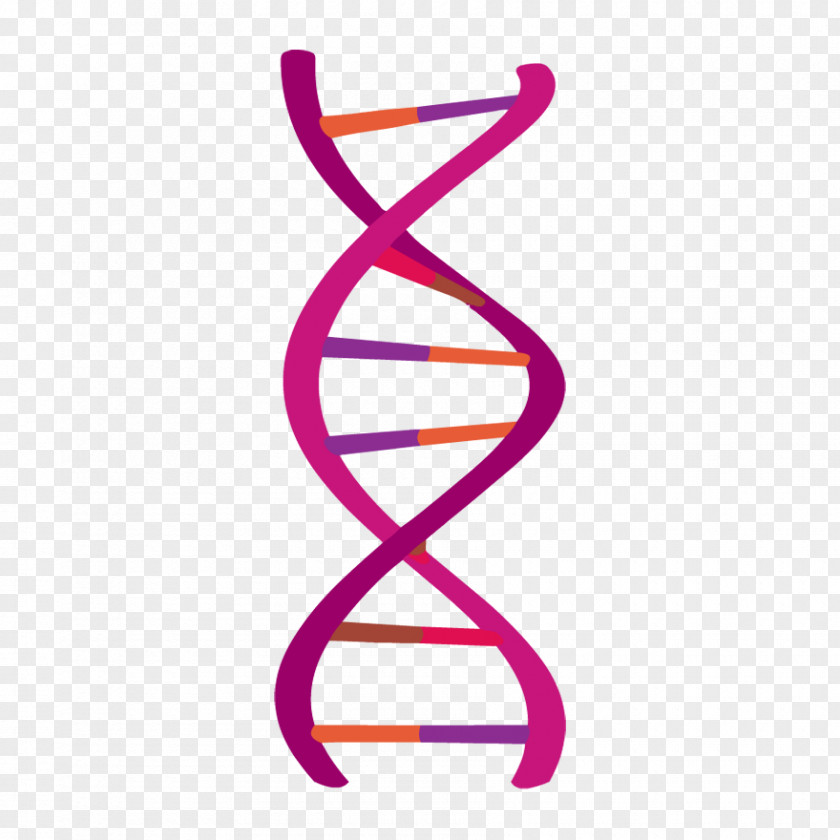 Science Technology Cell DNA Genetics PNG