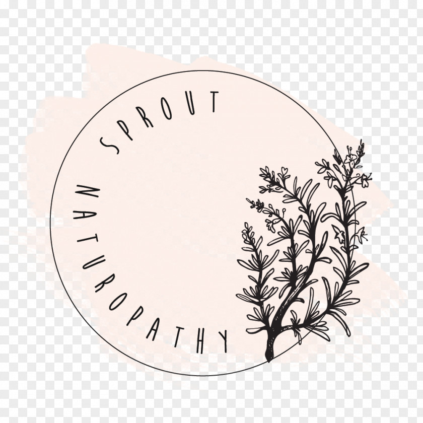 Sprout Herb Drawing Officinalis Spice Font PNG