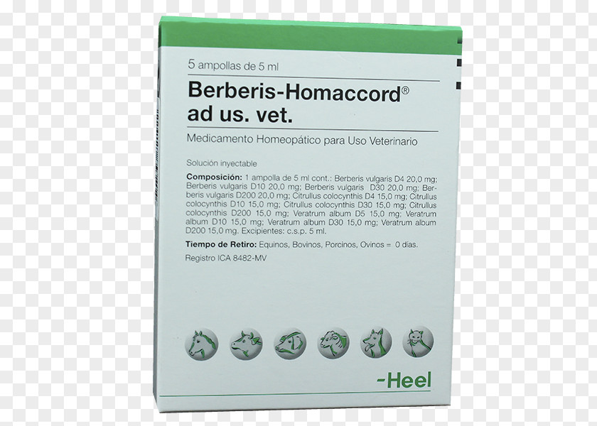 Barberry Stimulation Disease Homeopathy Pharmaceutical Drug Heel PNG