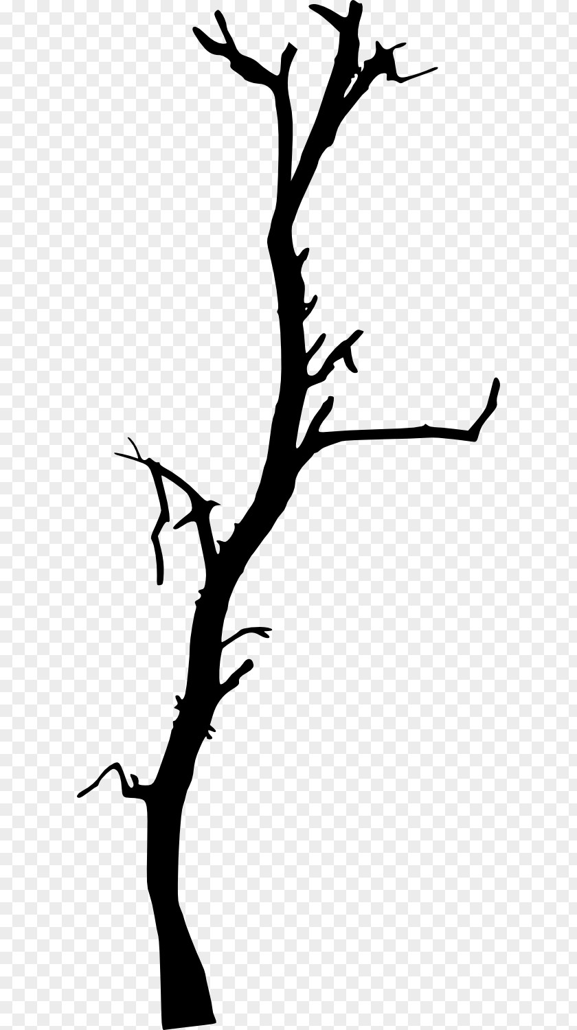 Dead Tree Clip Art Branch Silhouette PNG