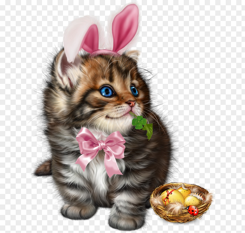 Kitten Whiskers Cat Easter Clip Art PNG