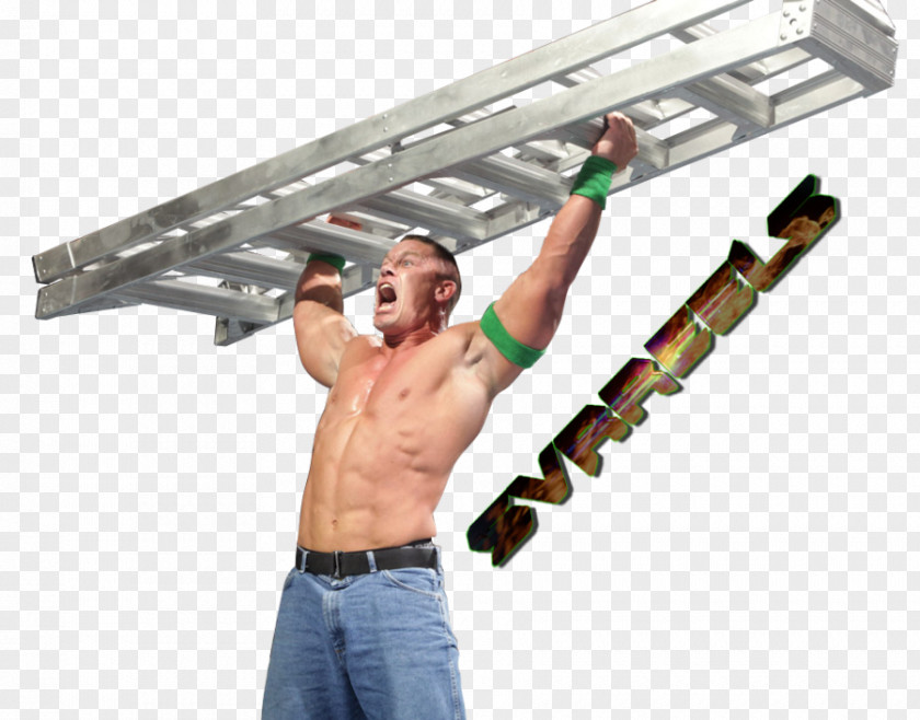 WWE TLC: Tables PNG Tables, Ladders & Chairs Money in the Bank ladder match, ladders clipart PNG