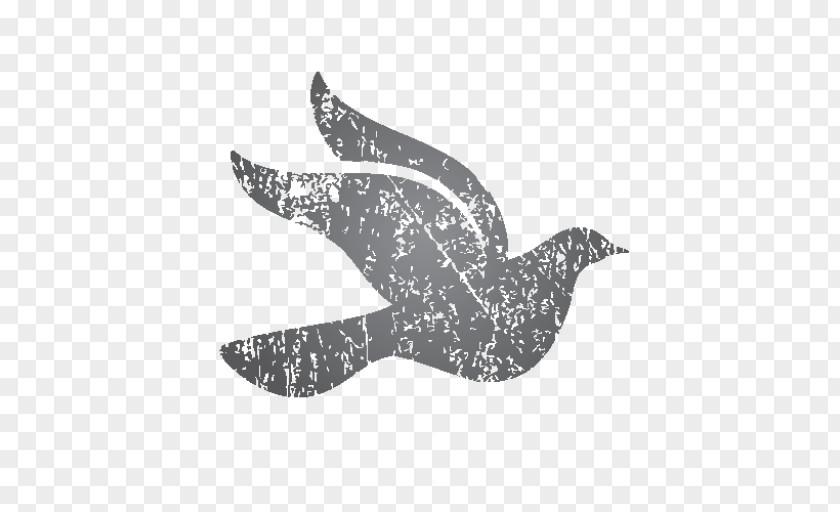 Dolphin Feather Beak White .cf PNG