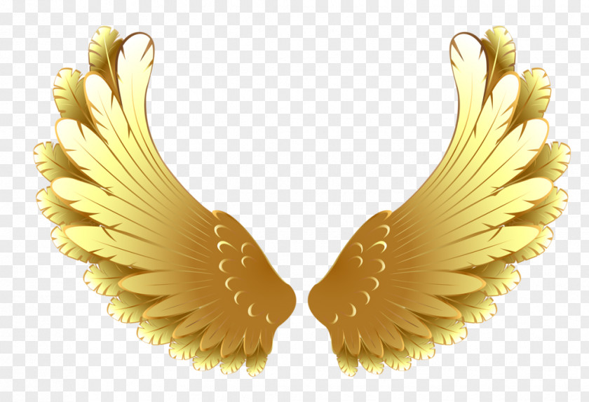 Gold Vector Graphics Image Clip Art PNG