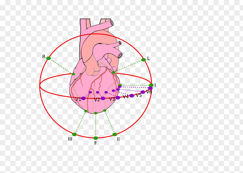 Heart Cardiology Coronary Artery Disease Arteries Bypass Surgery PNG