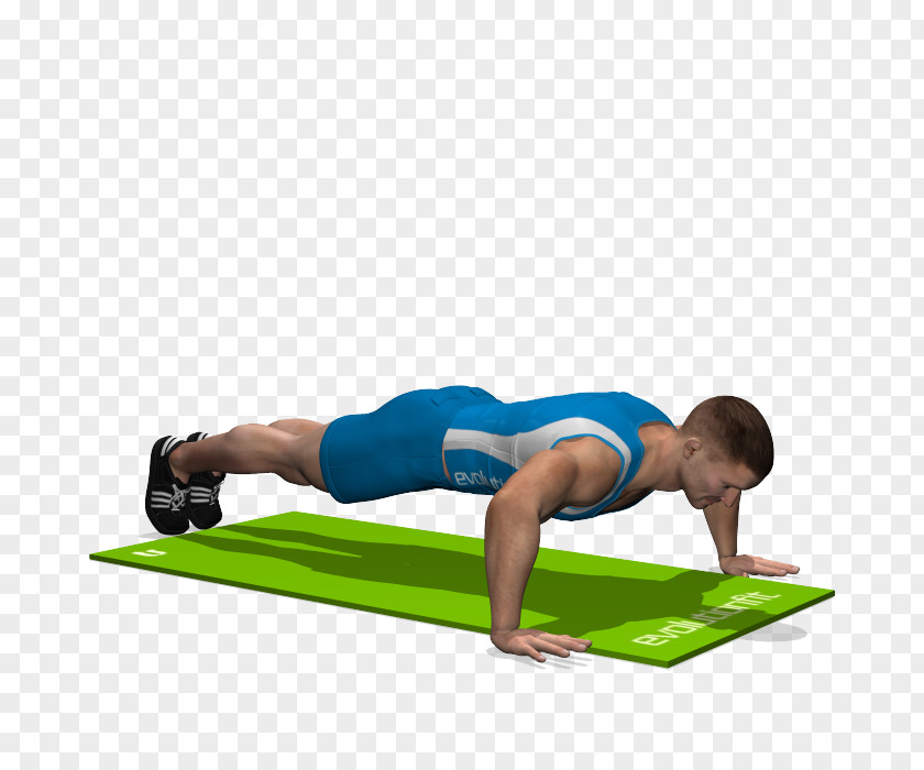 Push Up Pilates Plank Stretching Shoulder Hip PNG