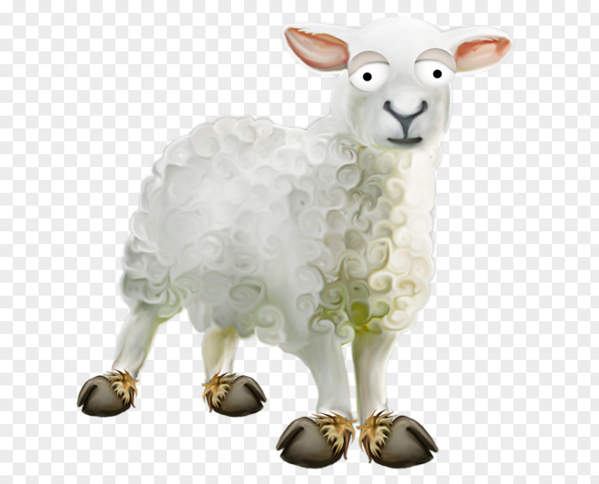 Sheep Sheep–goat Hybrid Desktop Wallpaper Clip Art PNG