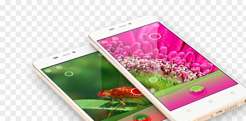 Smartphone Magenta Flower Mobile Phones IPhone PNG