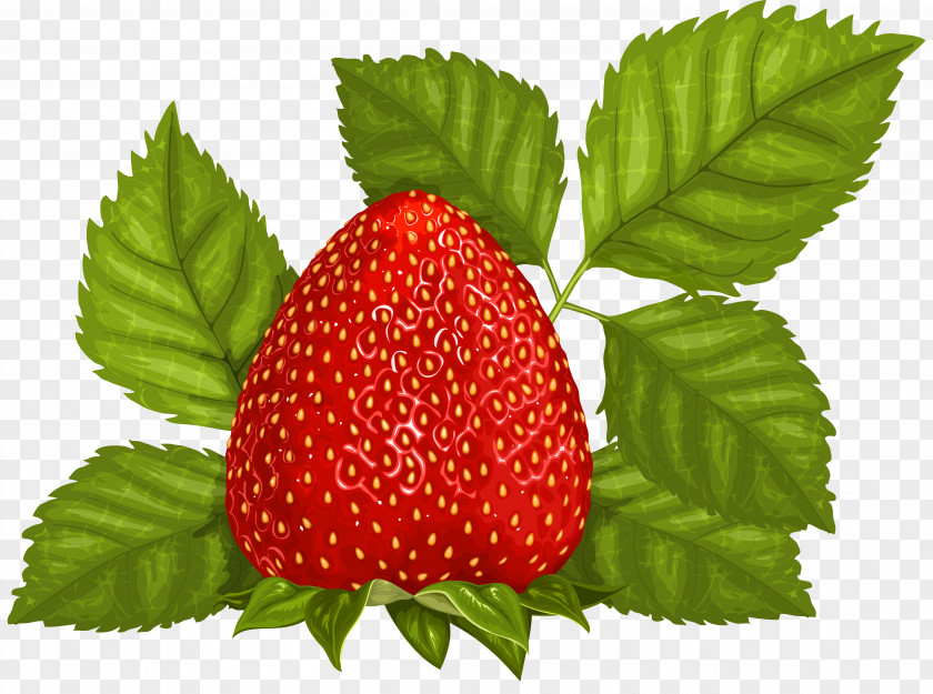 Strawberry With Leaves Clipart Picture Juice Fruit Leaf Clip Art PNG