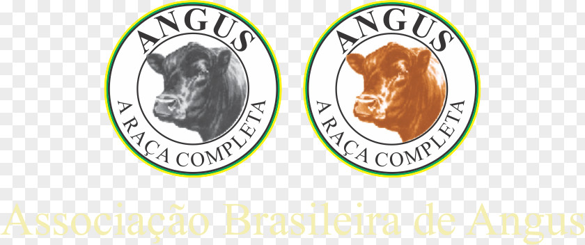 Vendedor De Carne Angus Cattle Brangus Brazilian Association Taurine Red PNG