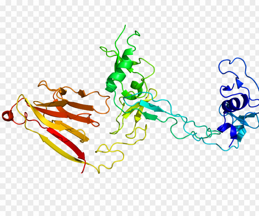 ADAMTS13 Von Willebrand Factor Metalloproteinase Disease Disintegrin PNG