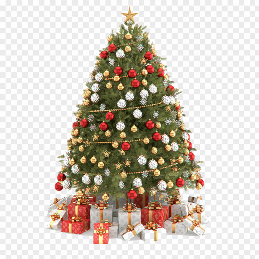 Christmas Tree Day Clip Art Image PNG
