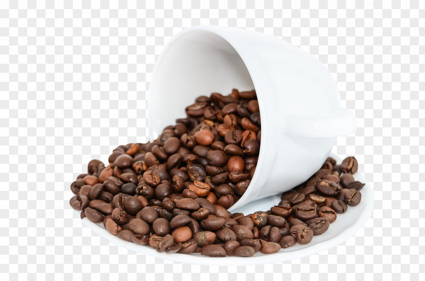 Coffee Beans Child Bean Tea Cafe Drink PNG