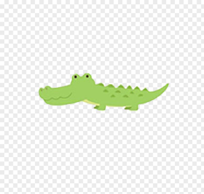 Crocodile Baby Shower Party Animal Clip Art PNG