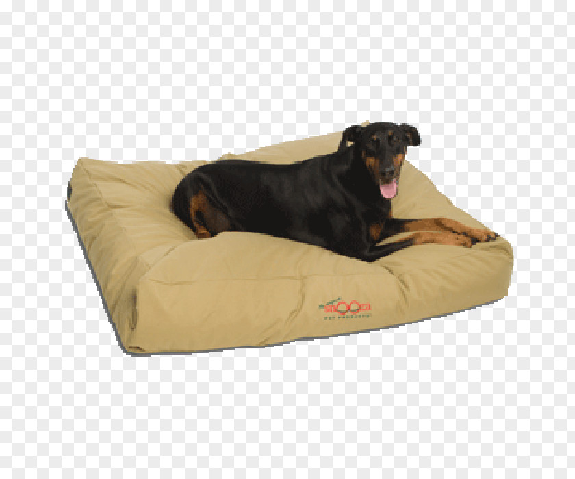 Dog Bed Futon Cushion Snooza Pet Products PNG