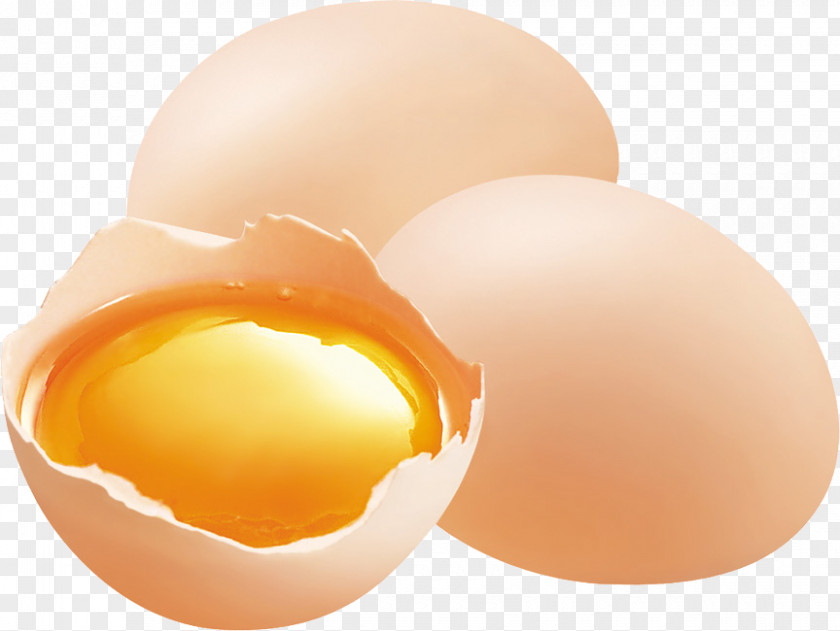 Egg Chicken Eating Food PNG