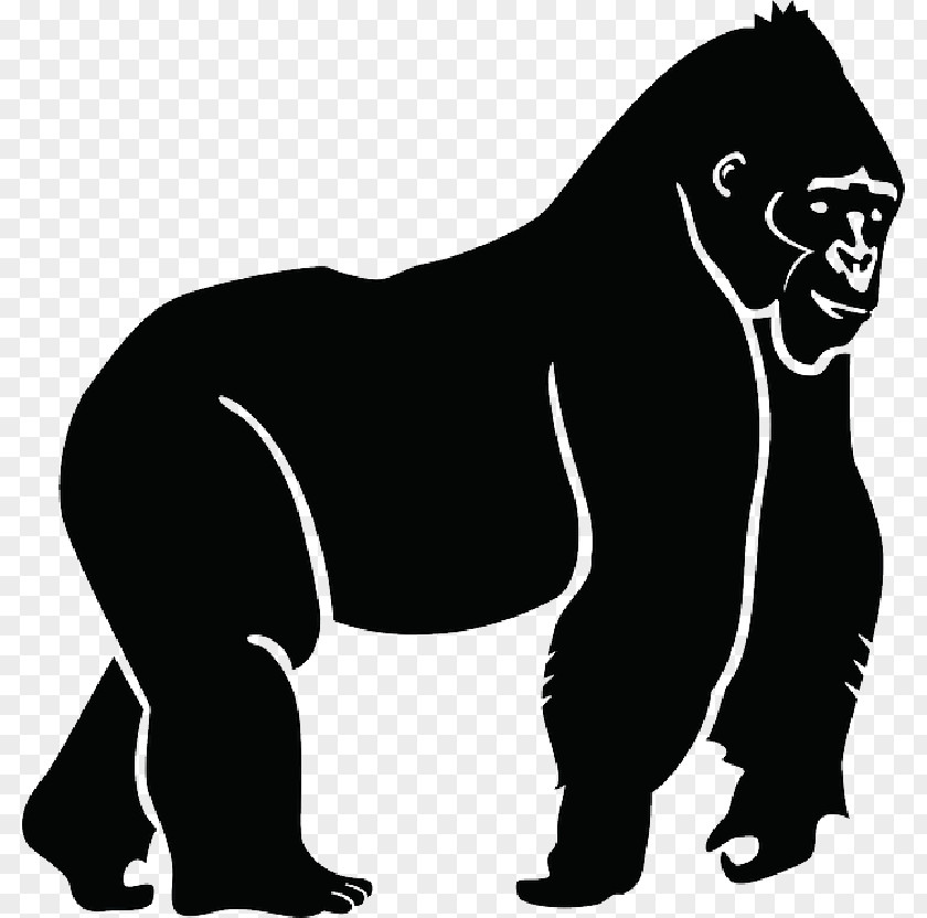 Gorilla Cartoon Vector Graphics Clip Art Illustration PNG