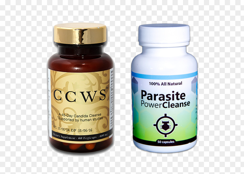 Health Detoxification Parasitism Candidiasis Human Parasite Intestinal Infection PNG