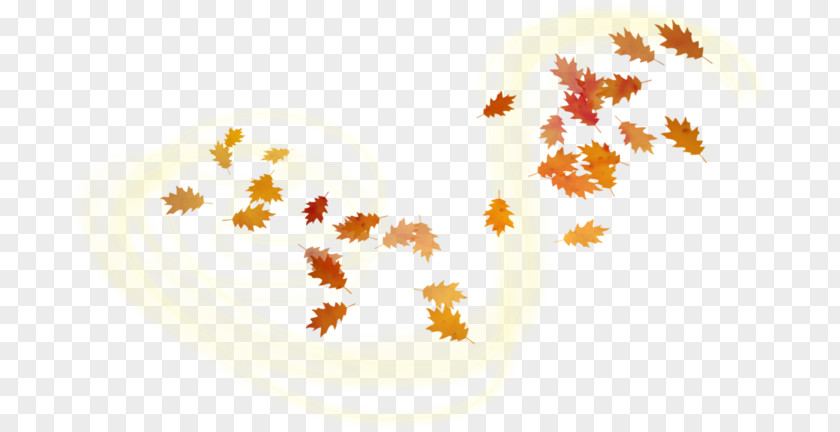 Leaf Clip Art PNG