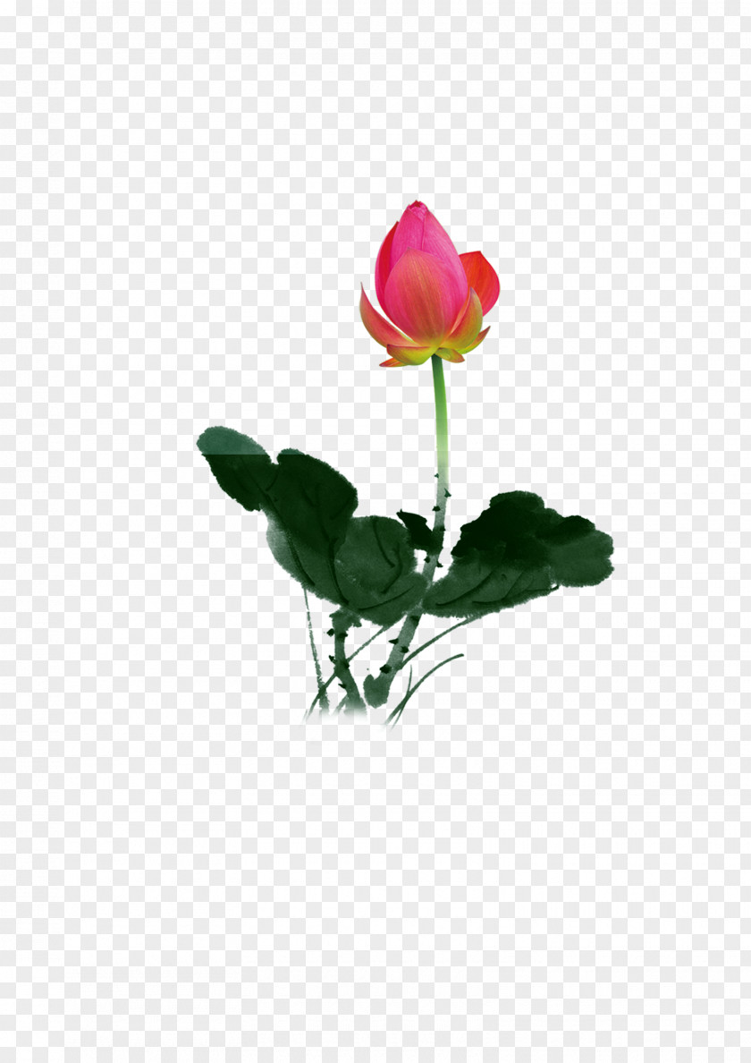 Lotus Flowers Jadeite Advertising Download PNG