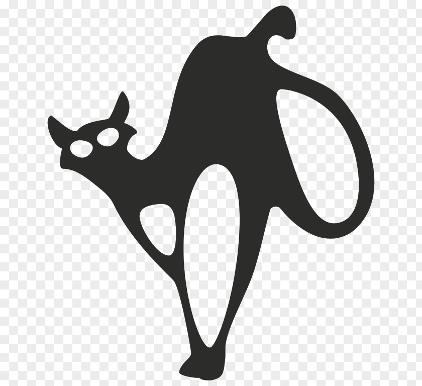 Switch Witch Cat Kitten Clip Art Felidae PNG