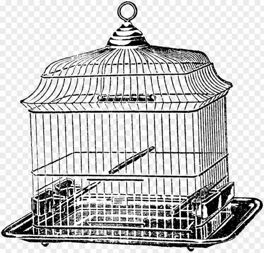 Brass Birdcage Cage Product Design Basket Line Black PNG