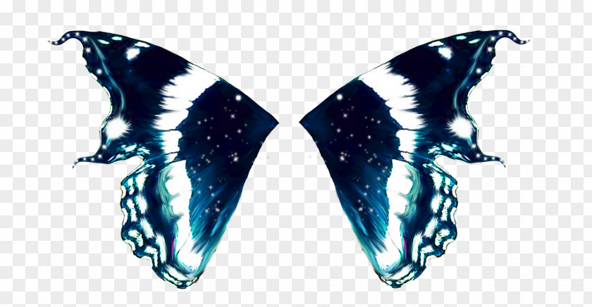 Butterfly Wing Moth Image Bird PNG