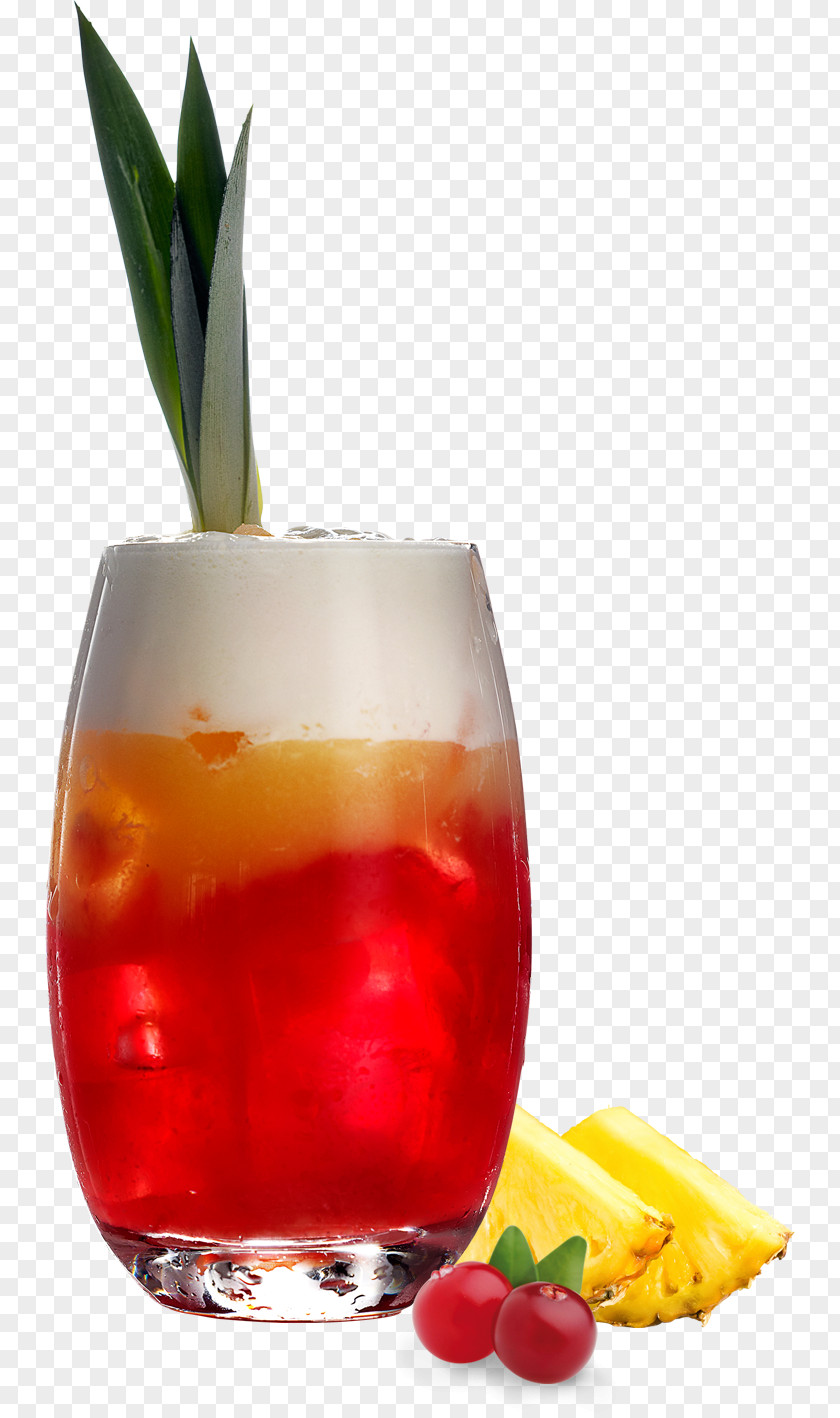 Cocktail Garnish Sea Breeze Juice Wine PNG