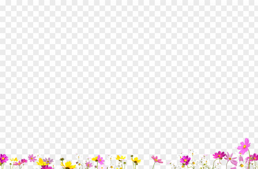 Education Floral Design Desktop Wallpaper Computer PNG