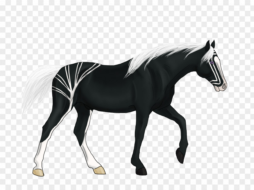 Heart Ink Stallion Friesian Horse Mustang Foal Rein PNG