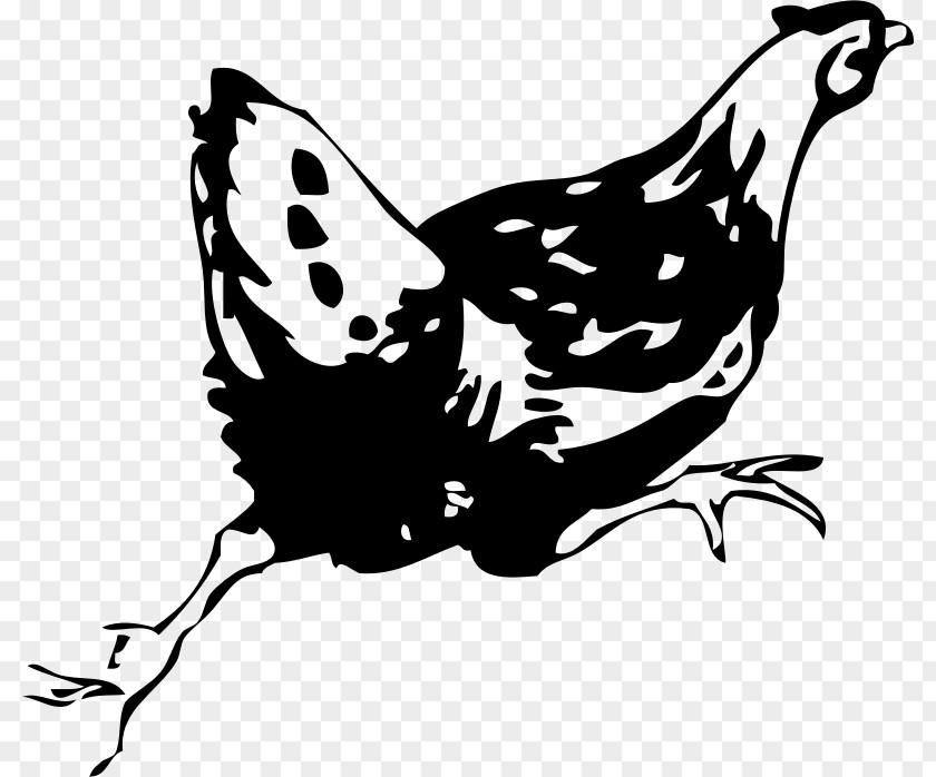 Hen Silkie White-faced Black Spanish Chicken Nugget Galliformes Rooster PNG