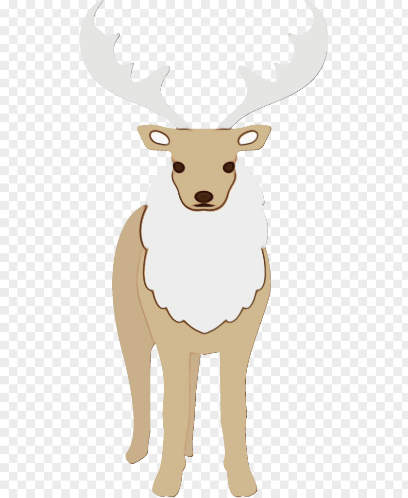 Antler Elk Reindeer PNG