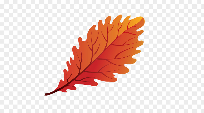 Autumn Leaves Picture Leaf Clip Art PNG