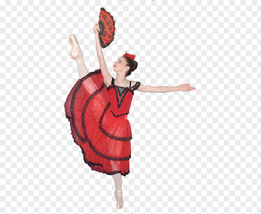 Ballet Dance Pointe Technique Classical Shoe PNG