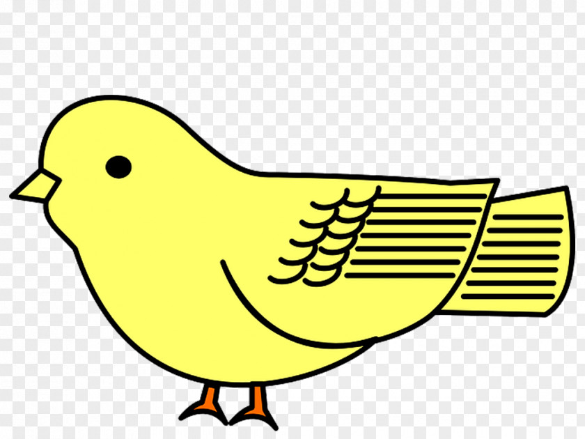 Bird Cartoon Drawing Clip Art PNG