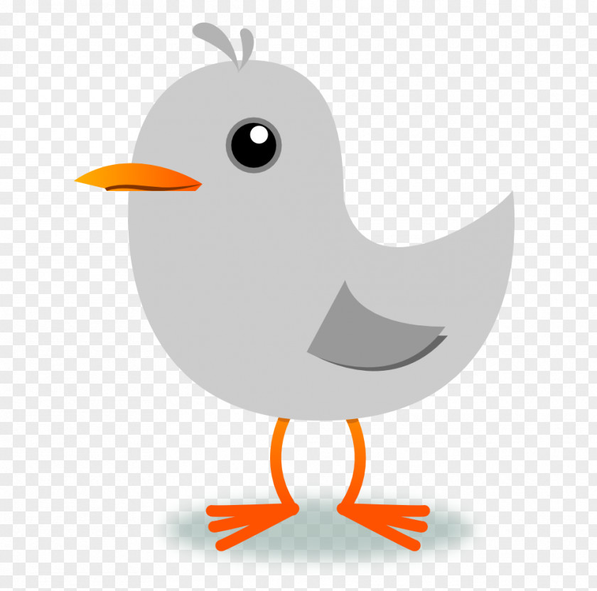 Bird Crane Daisy Duck Clip Art PNG