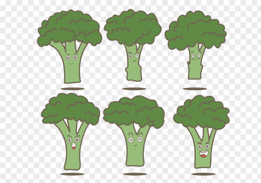 Green Broccoli Euclidean Vector Illustration PNG
