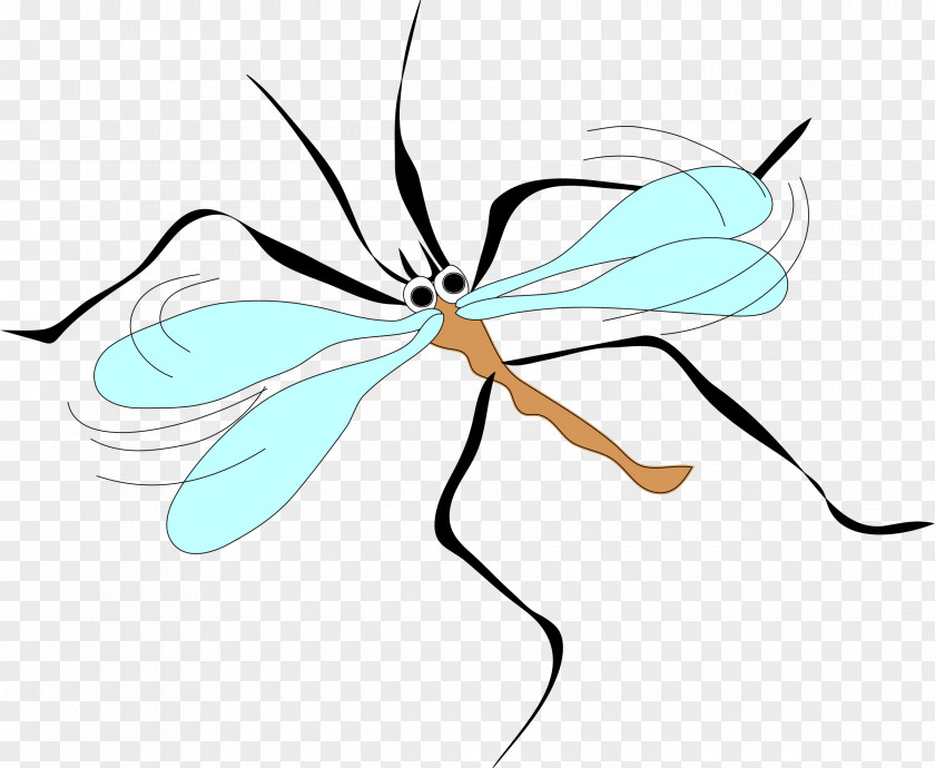 Mosquito Animation Clip Art PNG