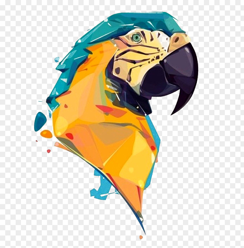 Parrot Drawing Painting Digital Art Illustration PNG