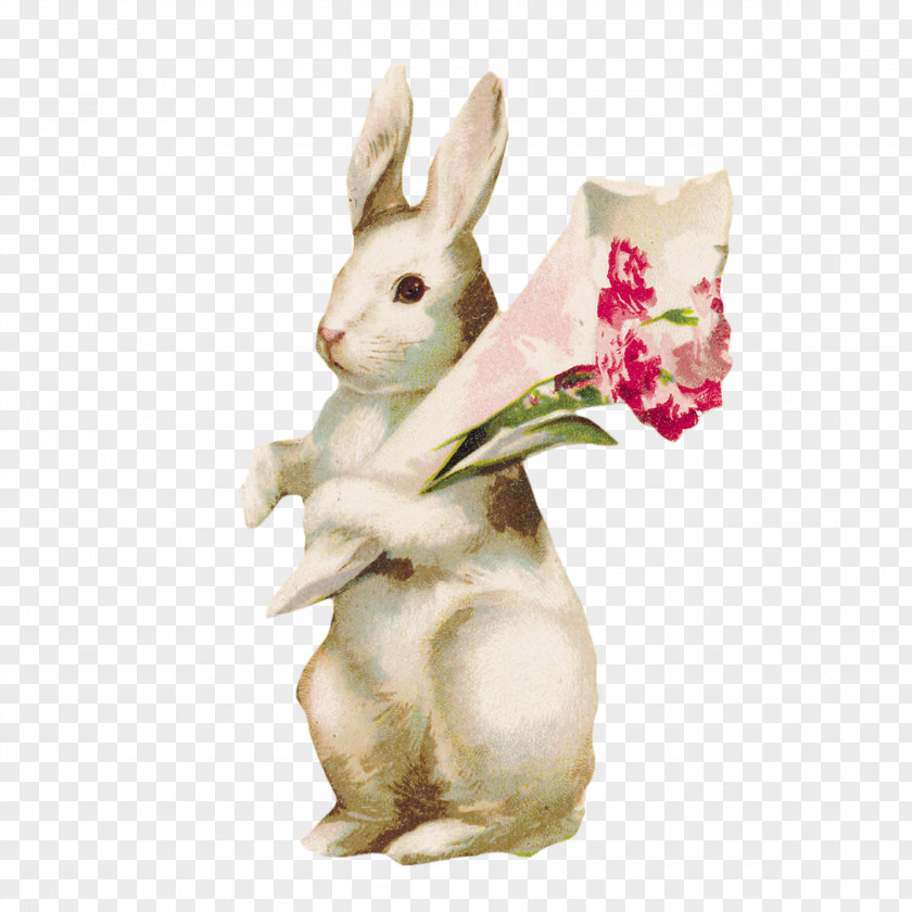 Rabbit Paper Adhesive Tape Washi Masking PNG