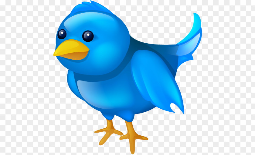 Bird Cartoon Social Media Blog Clip Art PNG