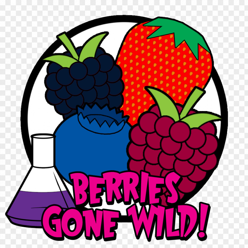 Wild Berry Fruit Cartoon Clip Art PNG