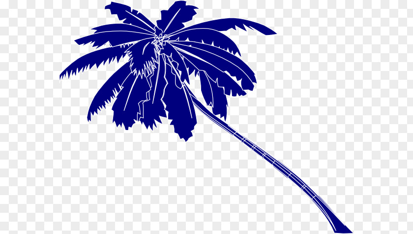 Arecaceae Clip Art PNG