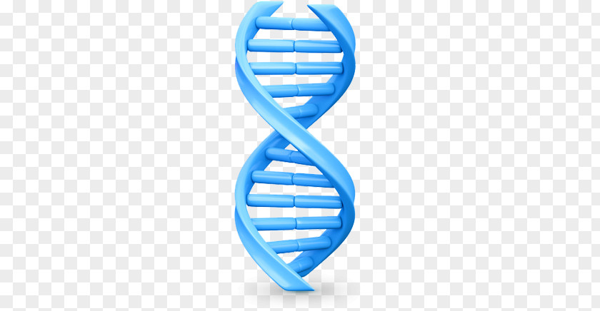 DNA PNG clipart PNG