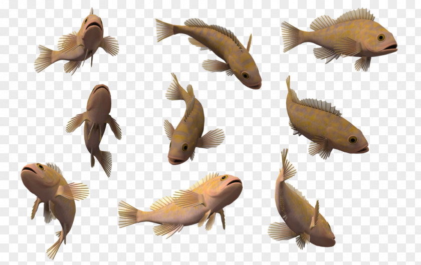 Fish Deep Sea Creature 3D Computer Graphics Clip Art PNG