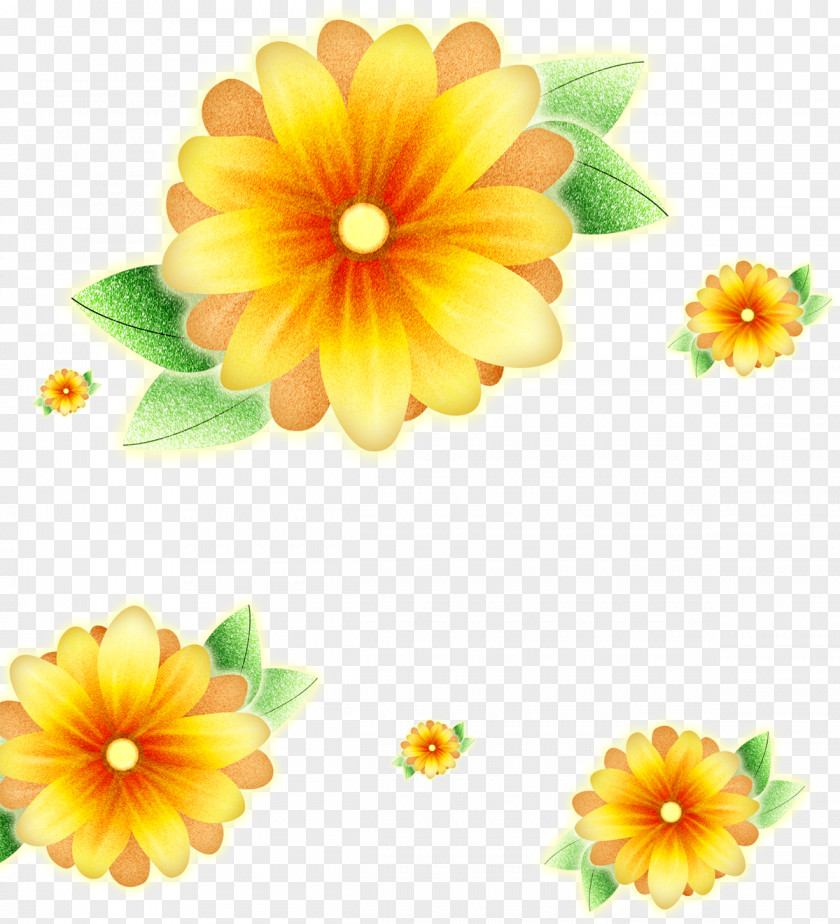 Taro Flower Common Sunflower Poster PNG