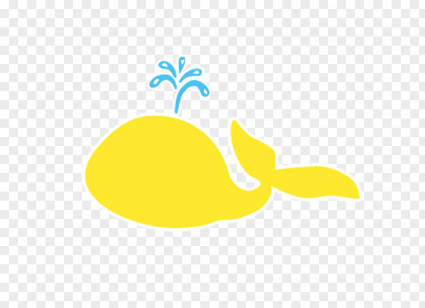 Whale Logo Illustration PNG